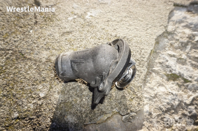 Оригинален Немски Термостат Wahler за Mercedes E Class W210 E430