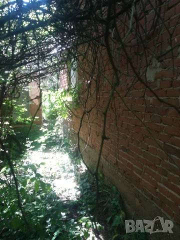 Продавам селска къща , снимка 16 - Къщи - 50744260