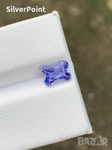 Танзанит за любители на кучета с швейцарски сертификат , снимка 2 - Други - 53677148