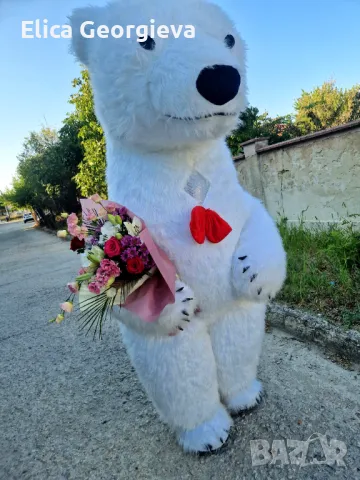 Бяло мече Варна, bialomeche, снимка 15 - Детегледачки, детски центрове - 48374405