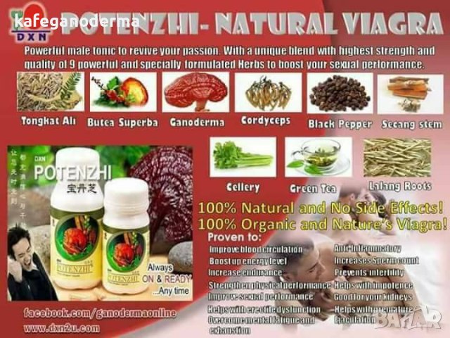 Потенжи, снимка 3 - Хранителни добавки - 41388136