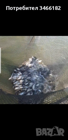 Садка за съхранение на риба