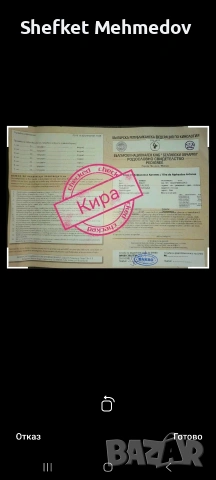 prodavam belgiska malionaa, снимка 2 - Белгийска овчарка - 53683194