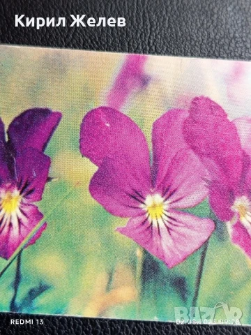 Старо календарче серия ЦВЕТЯ много красиво за КОЛЕКЦИЯ ДЕКОРАЦИЯ 50039, снимка 2 - Колекции - 51223913