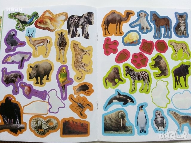 Детски книжки със стикери, снимка 6 - Детски книжки - 35967209