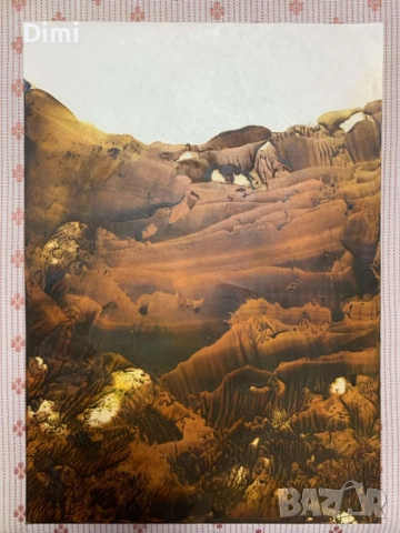 БОНО ШКОДРОВ (1935 - 2015)