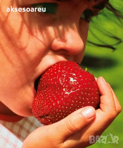 100 бр. ягодови семена от гигантска ягода градинско плодово растение сладки и вкусни червени ягоди, снимка 12 - Сортови семена и луковици - 50619114