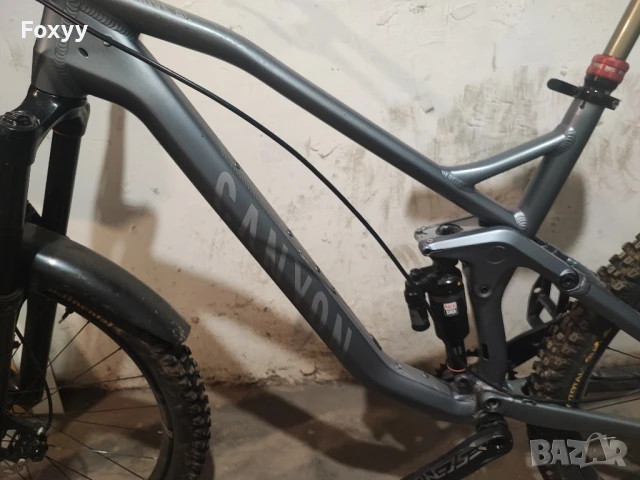 Canyon Strive AL 2019 L