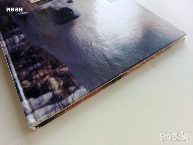 Детска енциклопедия "Animals -my first reference library" - 1994г., снимка 10 - Детски книжки - 42524605