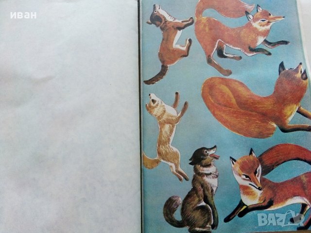 Косе Босе - Ран Босилек - Книжка играчка - 1986г., снимка 8 - Детски книжки - 40405400