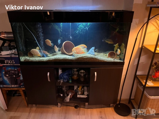 Дизайнерски кантиран аквариум с шкаф