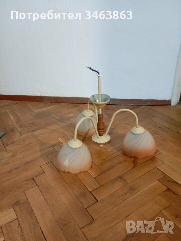 Полилей , снимка 3 - Полилеи - 42135332