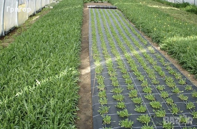 На едро и дребно!!! Мрежа срещу плевели - зебло., снимка 2 - Други - 44445259