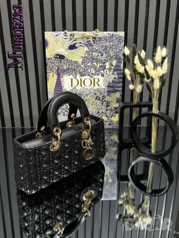 чанти christian dior 25/12см
, снимка 5 - Чанти - 50963329
