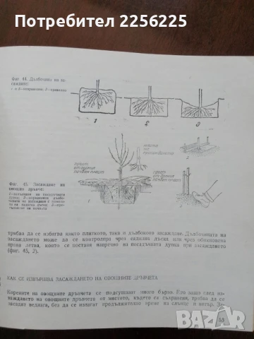 700 Съвета за любителя овощар, снимка 2 - Специализирана литература - 50914034