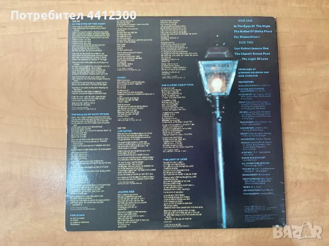 Грамофонна плоча 12” , снимка 2 - Грамофонни плочи - 50199114