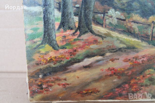 Картина  масло върху платно!, снимка 6 - Картини - 41552121