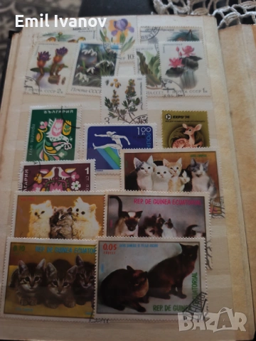 Продавам два класира с пощенски марки, снимка 13 - Колекции - 53254776