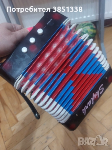 Детски акордеон 