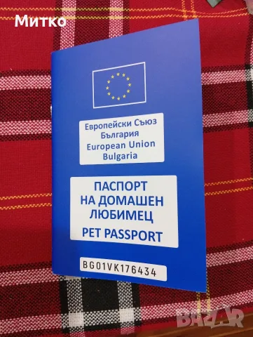 Померан, мини шпиц, снимка 7 - Померан - 55876116