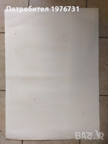 Янаки Манасиев , Фигура лино, снимка 6 - Картини - 52965832