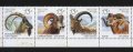 Чисти марки  Фауна Козли и Овни 2013 от Русия , снимка 1 - Филателия - 42145384