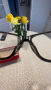 Диоптрични очила, снимка 10