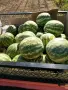 Продавам дини на едро -взимане от място, снимка 1