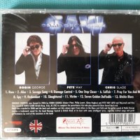 Damage Control – 2009 - Raw(Hard Rock), снимка 3 - CD дискове - 41435280