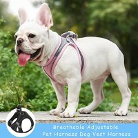 Нов регулируем колан за куче Нагръдник с Каишка Разходка обучение, снимка 6 - За кучета - 40676963