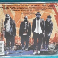 Robert Randolph & The Family Band ‎– 2006-Colorblind (blues-rock), снимка 6 - CD дискове - 44375190