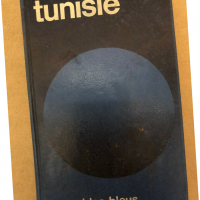 Tunisie: Guide (Les Guides bleus), снимка 1 - Енциклопедии, справочници - 36312810