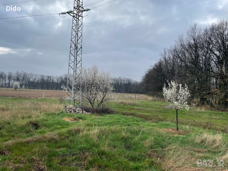 парцел село маджерито, снимка 1