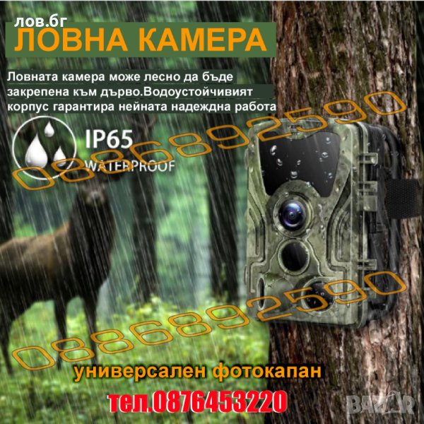 Ловна камера ,фото капан ,HC801,FULL HD 20MP ,нощен режим 20м , LCD дисплей, снимка 1