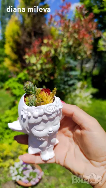 Ангелчета със седуми!, снимка 1