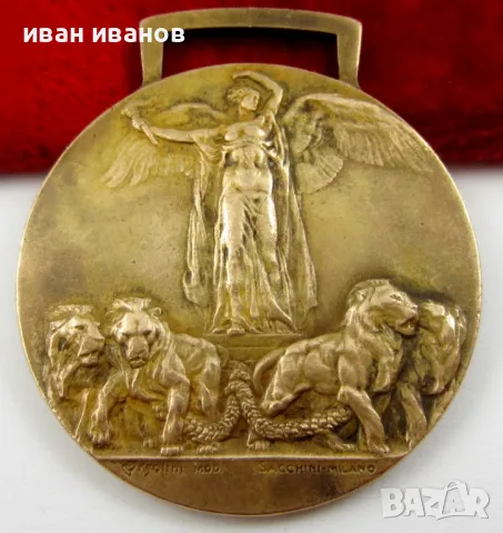 КРАЛСТВО ИТАЛИЯ-НАГРАДЕН МЕДАЛ ЗА ПОБЕДАТА В ПЪРВА СВ.ВОЙНА, снимка 2 - Колекции - 49871510