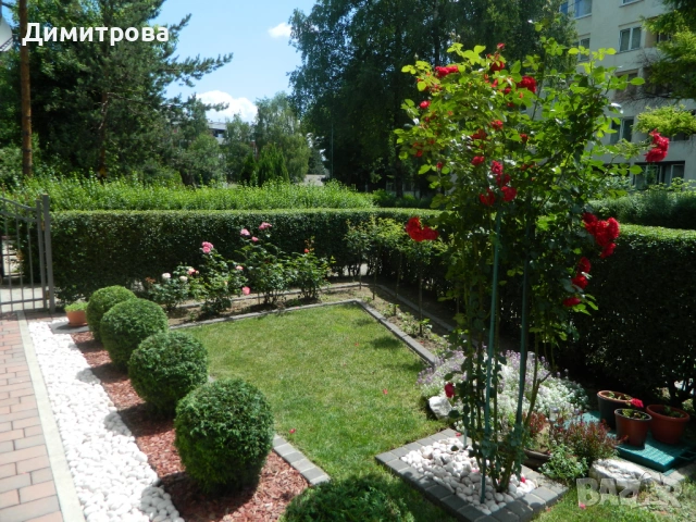 Озеленяване и поддръжка на дворове и терени и изграждане на поливни системи - гр. Ямбол и гр. Сливен, снимка 2 - Други услуги - 53496006