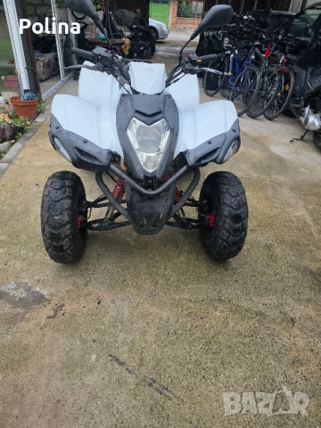 2 ATV Herkules Adly , снимка 5 - Мотоциклети и мототехника - 52031774