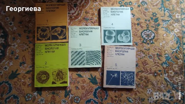 молекилярная генетика , снимка 2 - Специализирана литература - 49269709