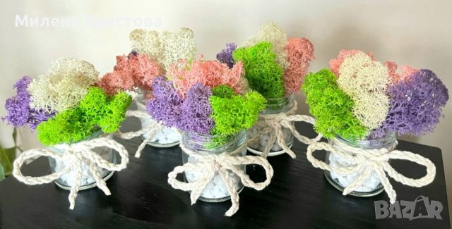 Подаръчета за сватба със скандинавски мъх 