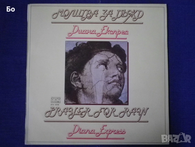 грамофонни плочи Диана Експрес / Diana Express, снимка 6 - Грамофонни плочи - 31509458