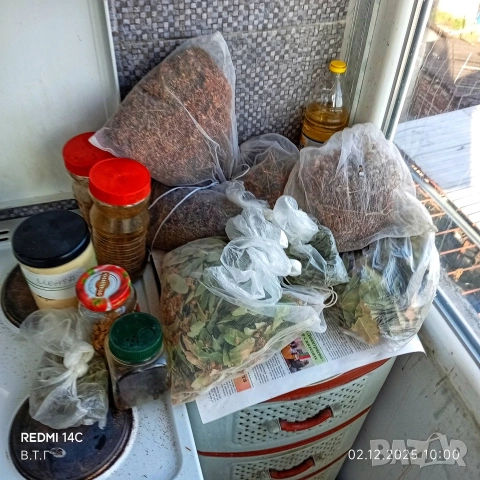 диворастящи билки