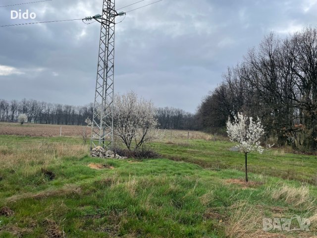 парцел село маджерито