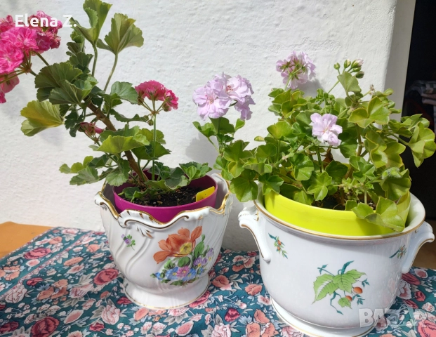 Голяма кашпа Herend - ръчно рисувана, снимка 11 - Декорация за дома - 52200588