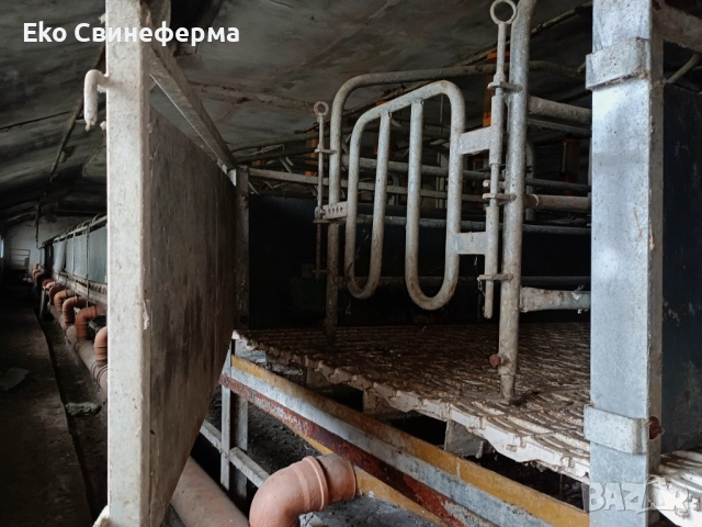 Повдигнат бокс свине майки лактиращи/млекарски/ - раждане и бозайници. , снимка 2 - Други машини и части - 51878240