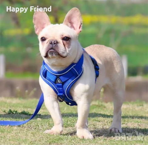 Нагръдник за куче с повод - комфорт и сигурност. *Различни размери*НОВ