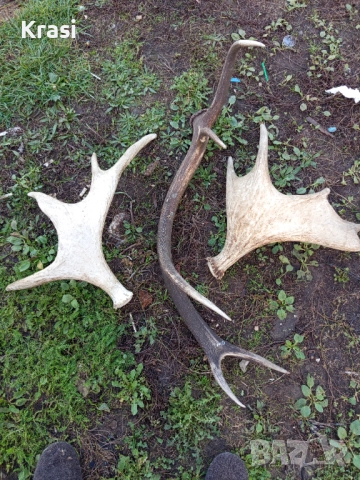 Raga 3br , снимка 4 - Други - 52268559