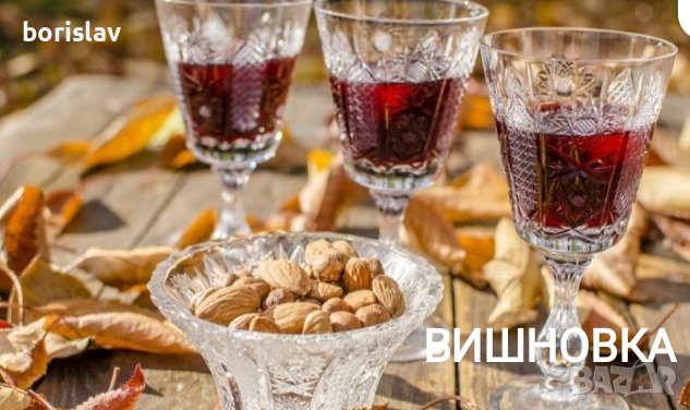 Продавам Вишни и Вишновки, снимка 8 - Градински цветя и растения - 33037388