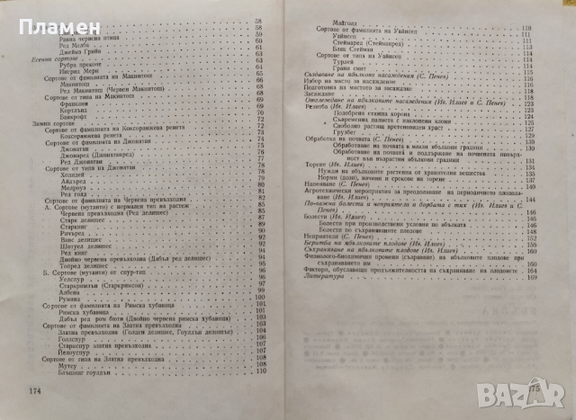 Ябълка Иван Илиев, Симеон Пенев, снимка 3 - Други - 44745849