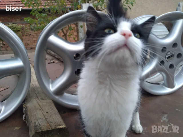 АЛУМИНИЕВИ ДЖАНТИ ЗА ОПЕЛ-5/15/110, снимка 3 - Гуми и джанти - 47745347